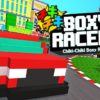 [REVIEW] Chiki-Chiki Boxy Racers