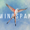 Wingspan [REVIEW]